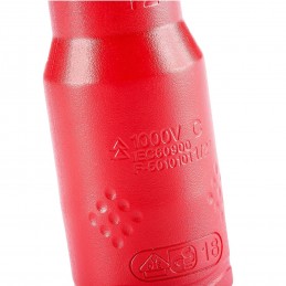 S14019|808be9f81698682293dc872212bb6fb0