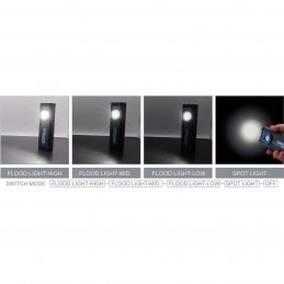 ZF6635ZF6636|787e099f4fcba55651e43175f83f3ffc