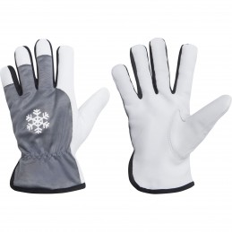 8264MARS10|1a25123a8e5d69e59f5cbcc769732317