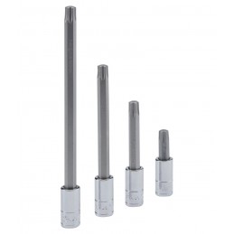 [208+6106] [208+6106] Torx...