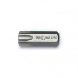 [6255] [6255] Antgalis TORX...