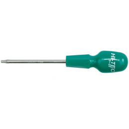 Atsuktuvas TORX T25x100mm