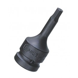 Galvutė 1/2 ilga 10.0mm