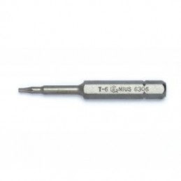 [6309] [6309] Antgalis TORX...