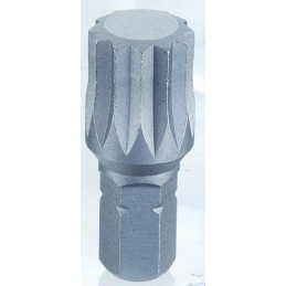 Antgalis 1/4'', 25mm M4 []