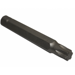 Antgalis T55x75 mm. ant 10...