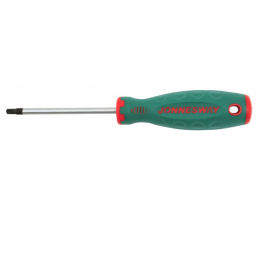 Atsuktuvas TORX T27x100 mm
