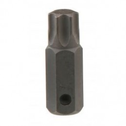 Antgalis TORX 60m ilgio...