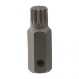 Antgalis 12-kampis 60mm...