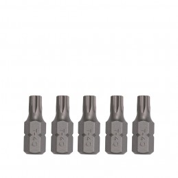 Antgalis TORX10mm, 30mm T20...