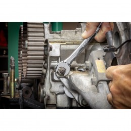 S09021|d601982d4678bc830b74ab388b674e4c